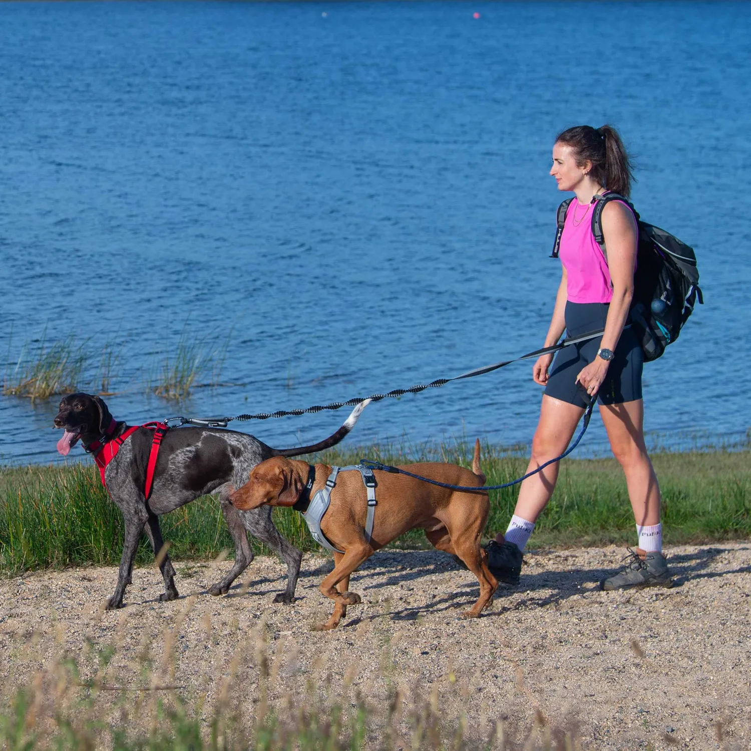 Mountain Paws Shock Absorber guinzaglio ammortizzato running