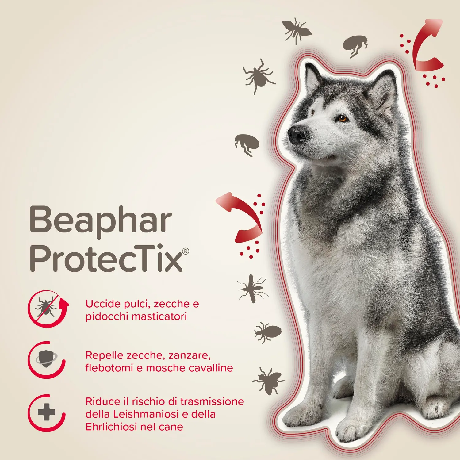 Beaphar ProtecTix Cane spot-on L 25-40 kg 4 pipette