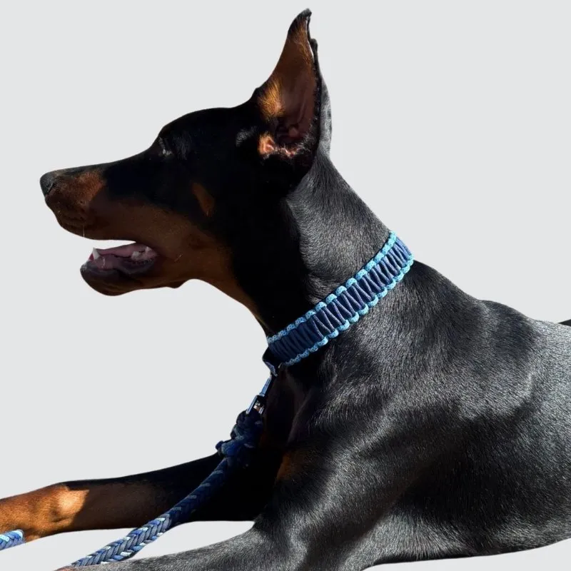 LabArt Dog BioPar H19 collare biothane idrorepellente