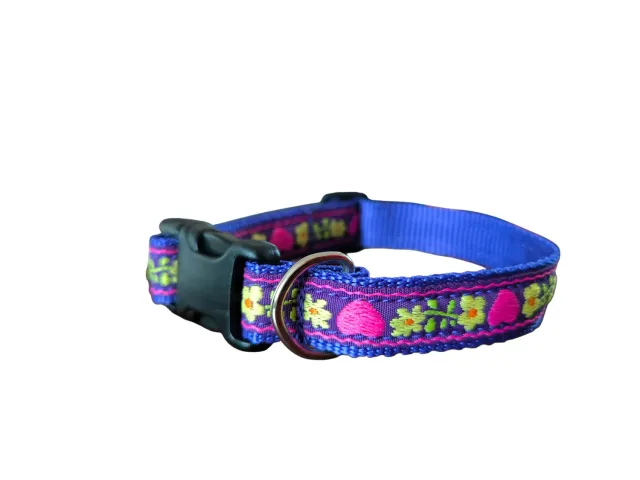 Anja for Dogs Collare Nice 26-42 cm nastro 2 cm