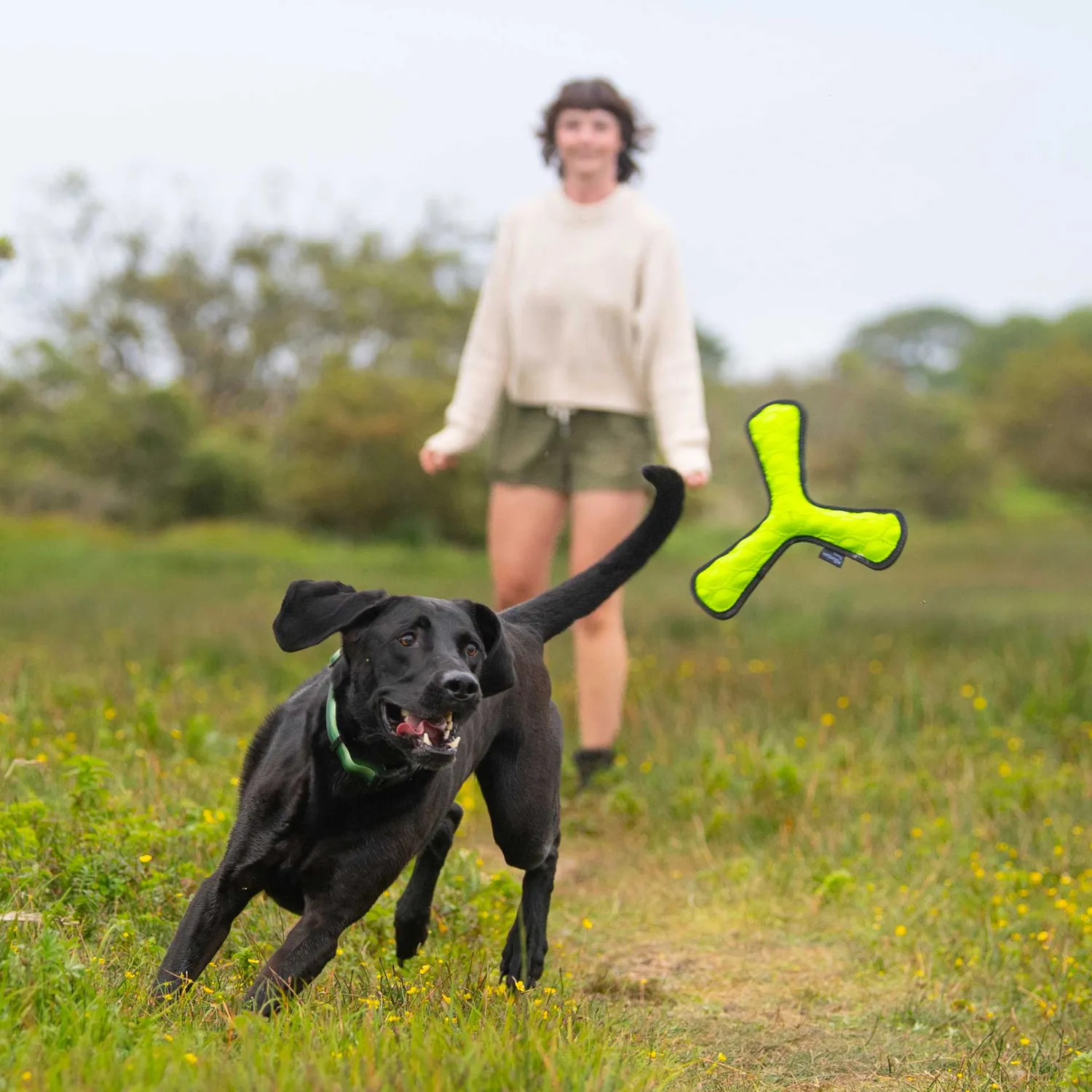 Mountain Paws Throw gioco cane in gomma verde arancione
