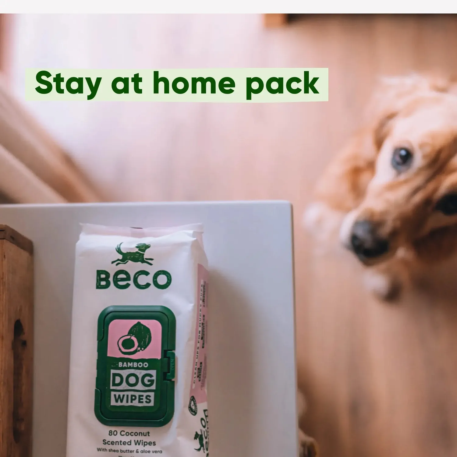 Beco Pets Dog Essentials Bundle Kit Passeggiata 4-5 Mesi