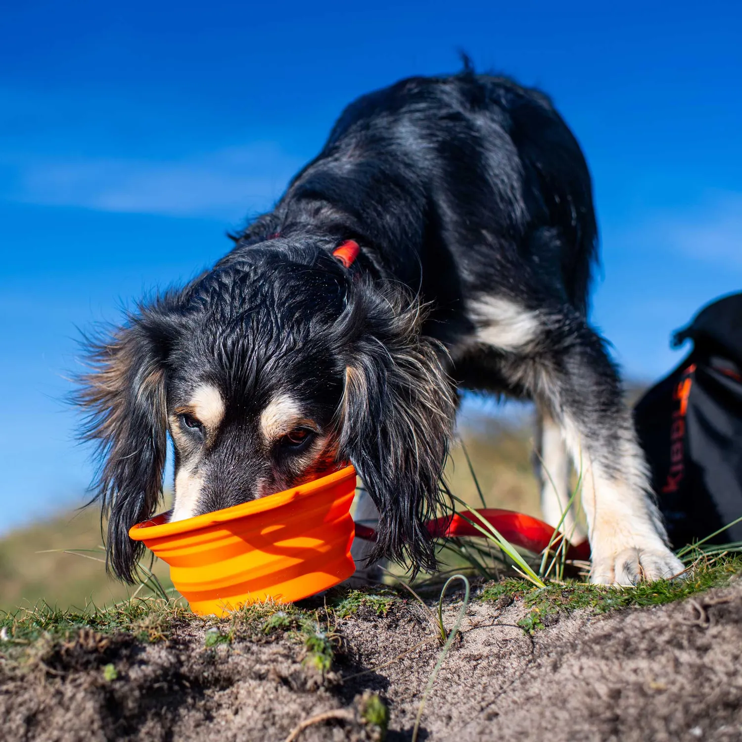 Mountain Paws Bowl ciotola pieghevole silicone 900 ml