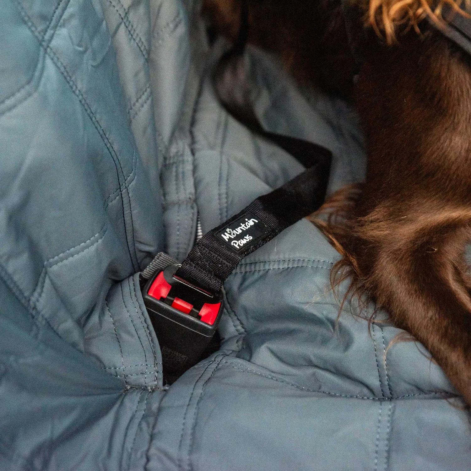 Mountain Paws Dog Car Seat Belt cintura auto regolabile cane