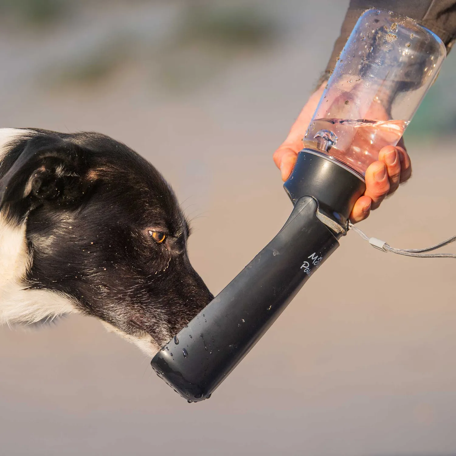Mountain Paws Borraccia Cane Pieghevole con Ciotola