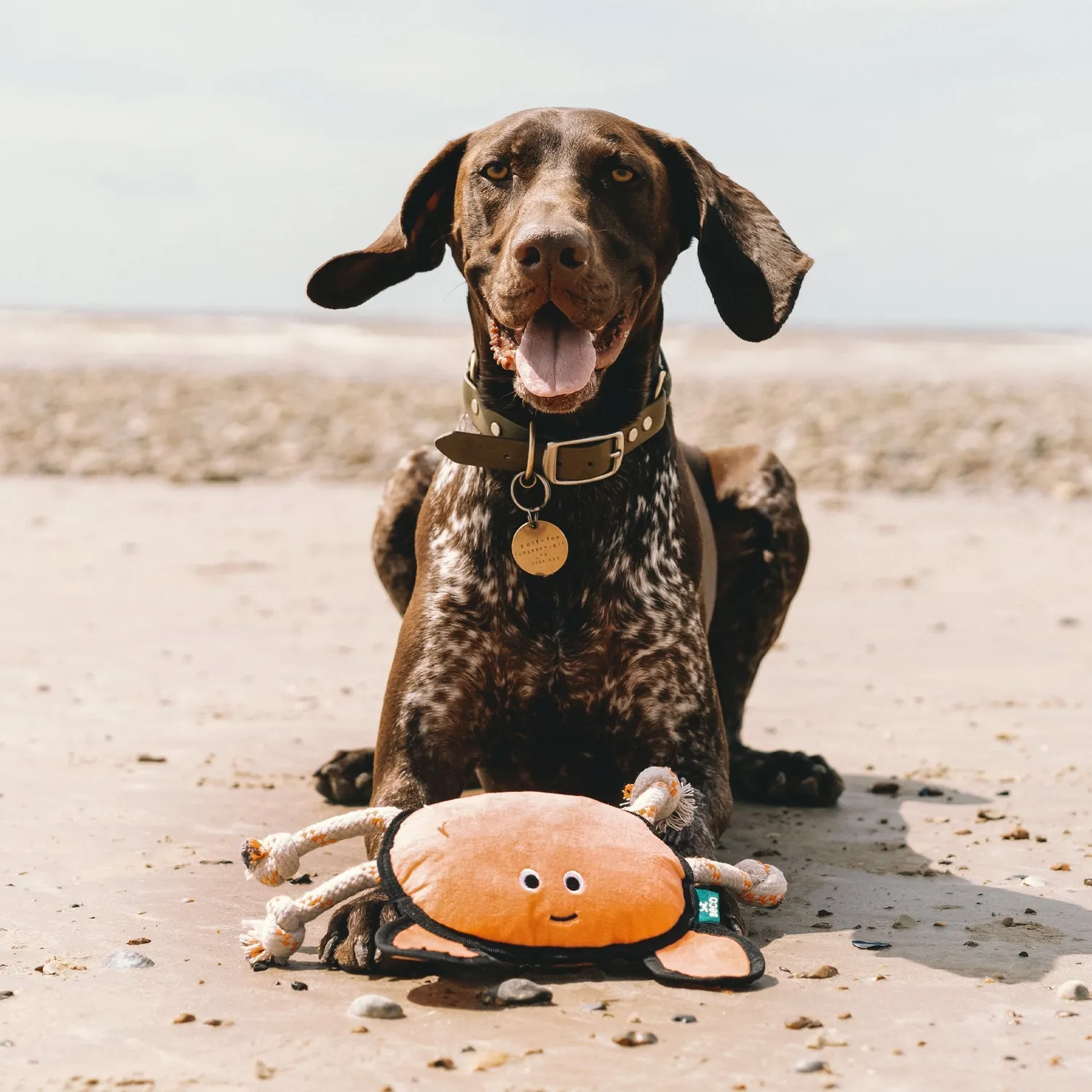 Beco Pets Plush Crab giocattolo cane peluche resistente