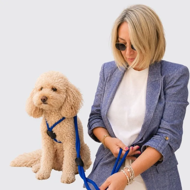 LabArt Dog EasyStride Denim guinzaglio in nylon 10 mm