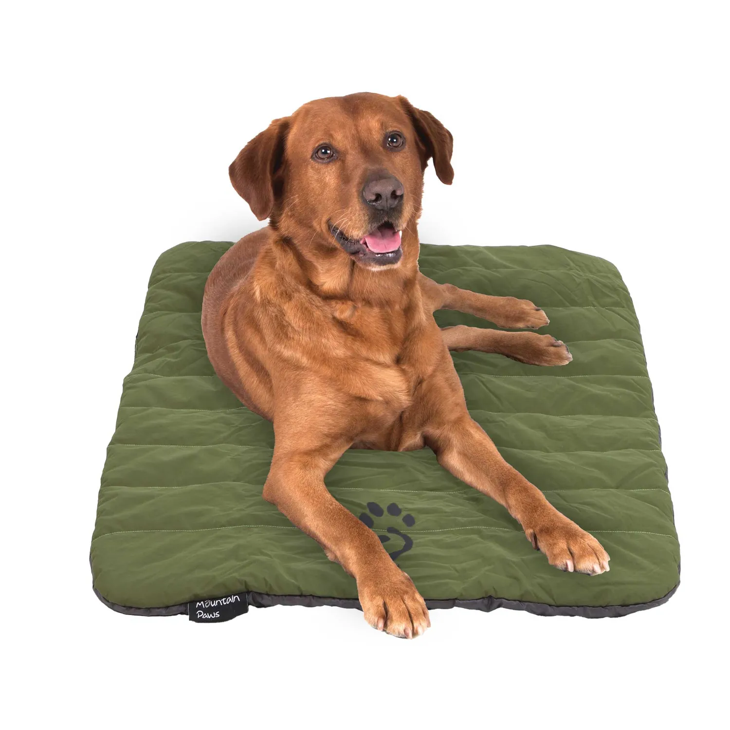Mountain Paws Travel cuccia cane da viaggio leggera