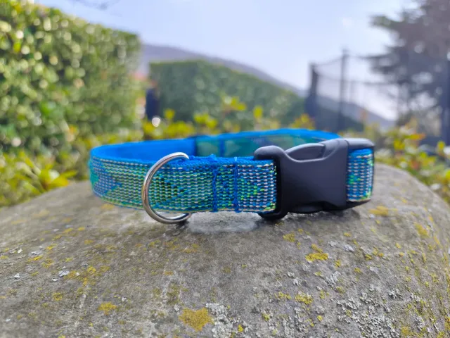 Anja for Dogs Casual collare turchese 2,5 cm