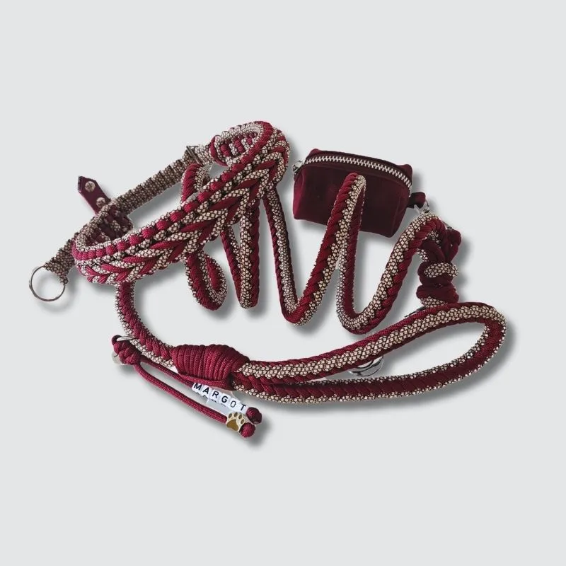 LabArt Dog Little Benjamin collare paracord regolabile