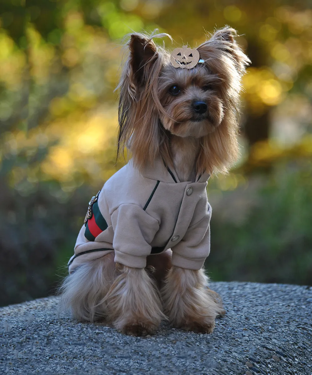 Royal Dog Royal felpa beige per cani