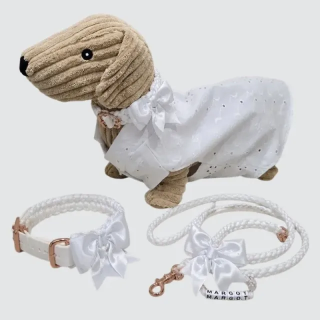 LabArt Dog Kit Cerimonia guinzaglio collare mini paracord