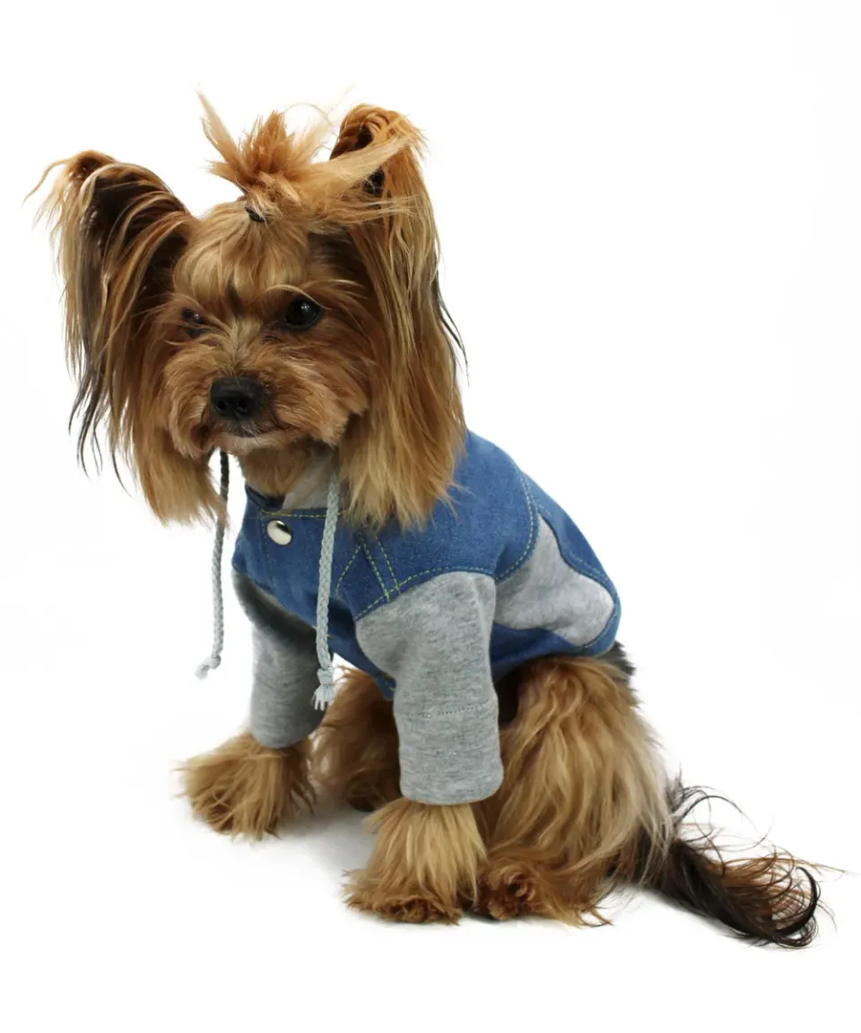 Royal Dog Giubbino Jeans con felpa cane unisex