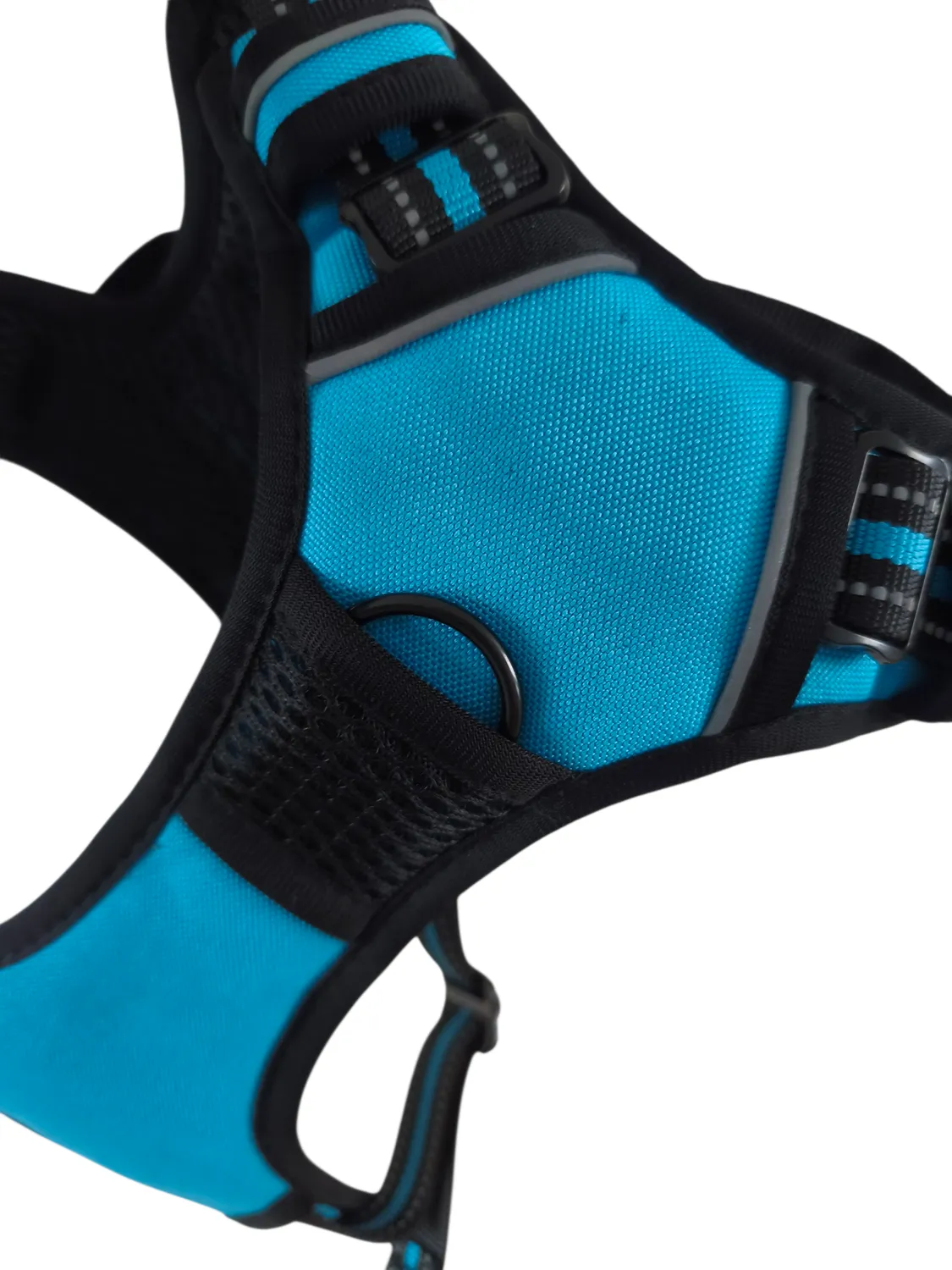 Anja for Dogs Comfort pettorina azzurra imbottita