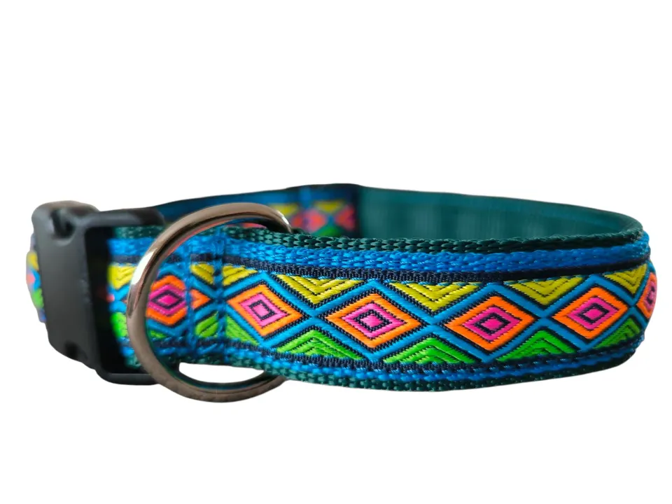 Anja for Dogs Collare Nitro 40-60 cm nastro 3 cm