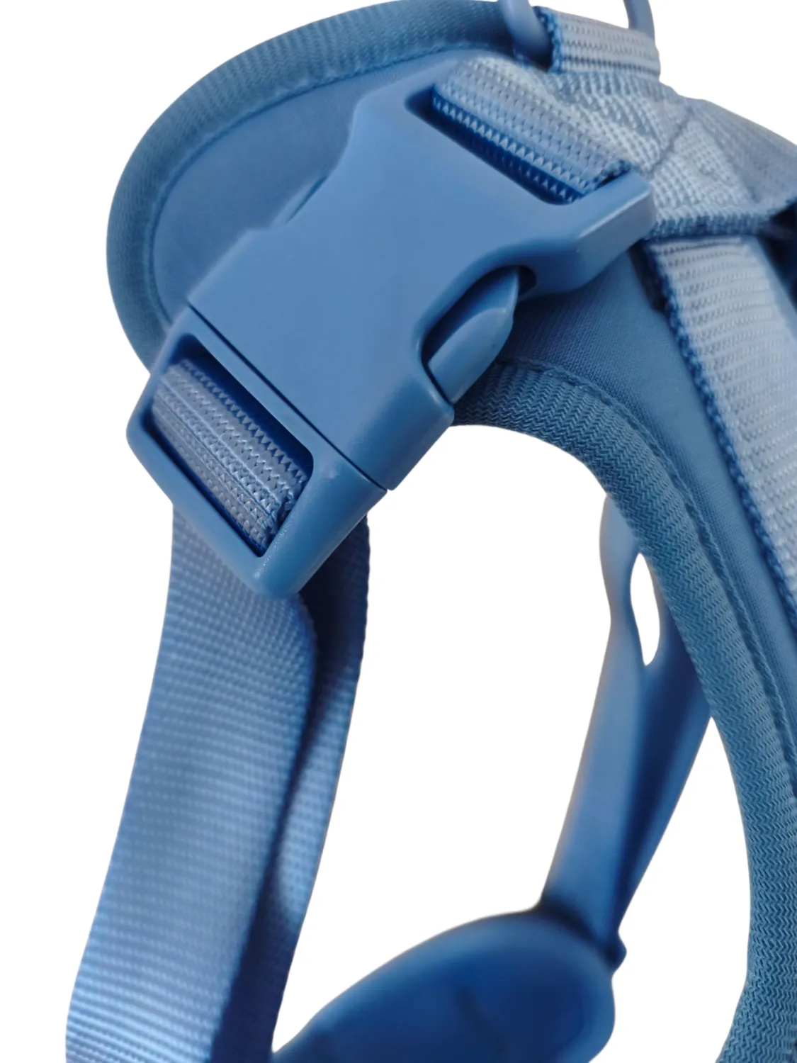 Anja for Dogs Star pettorina azzurra imbottita