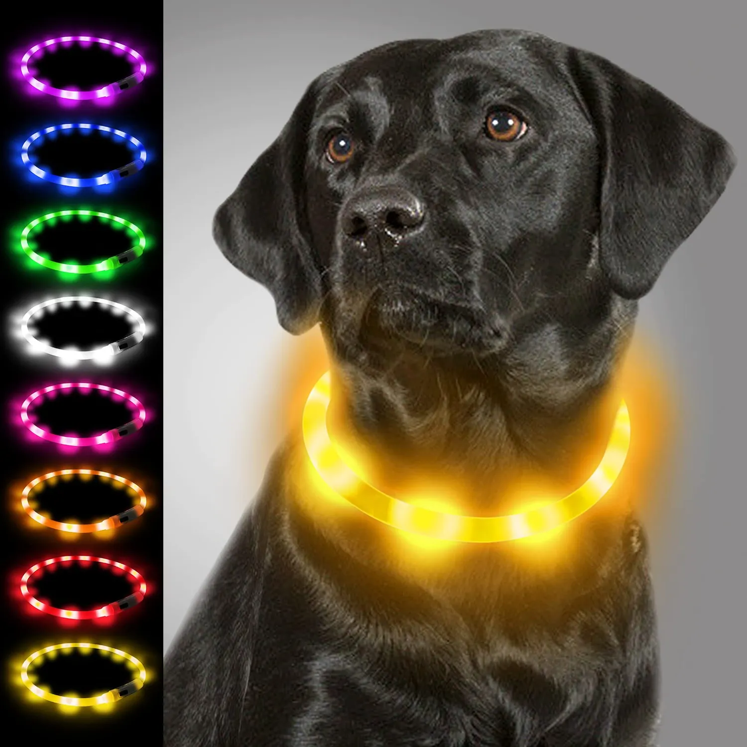 Joytale Collare luminoso LED blu USB taglia unica 70 cm visibile