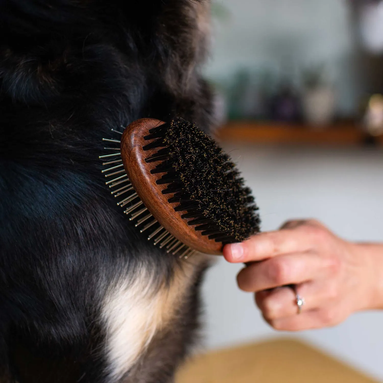 Mountain Paws Double Sided spazzola cane doppia faccia