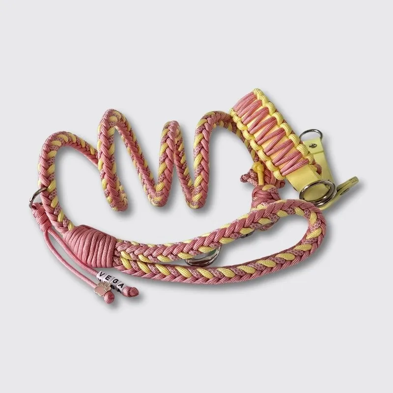 LabArt Dog Retriever Biopar collare Tokyo martingale
