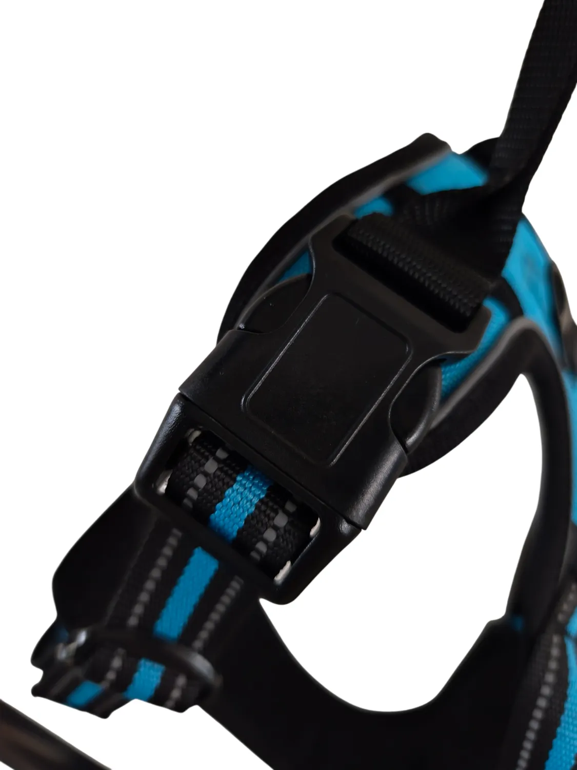 Anja for Dogs Comfort pettorina azzurra imbottita