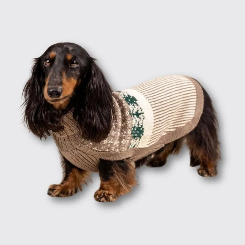 LabArt Dog Alpaca Foresta maglione cane lana calda