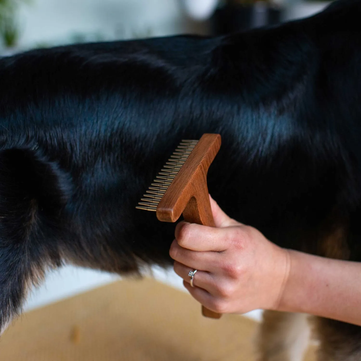 Mountain Paws Undercoat Rake pettine sottopelo pelo spesso