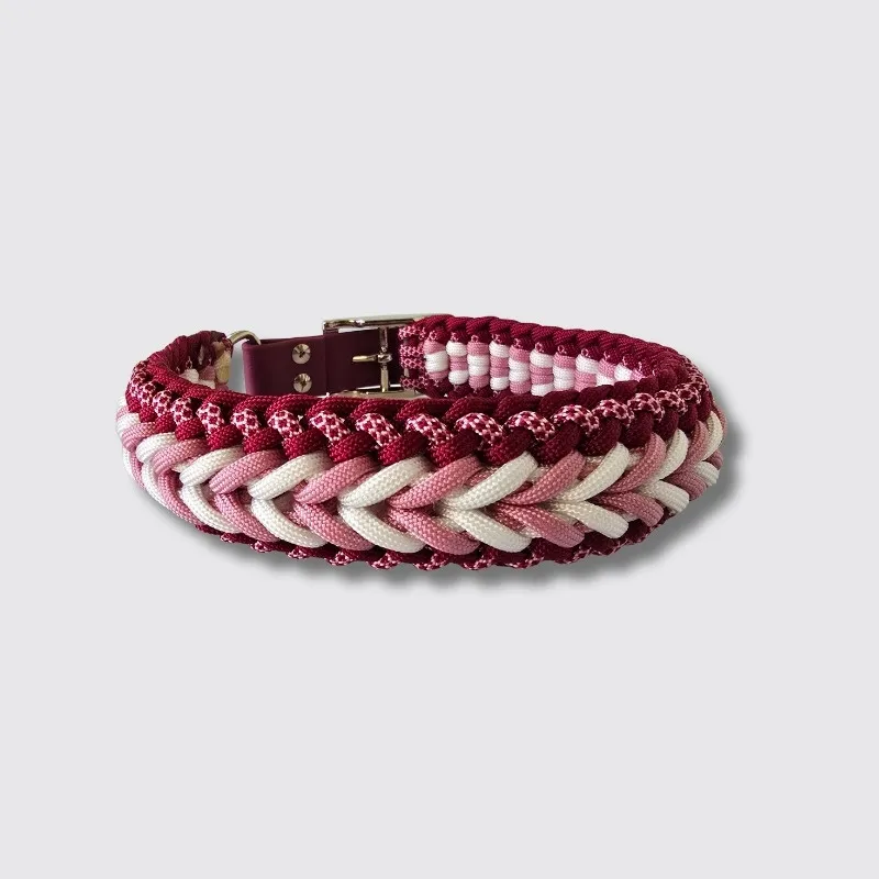 LabArt Dog treccia 8 fili guinzaglio paracord 1 cm