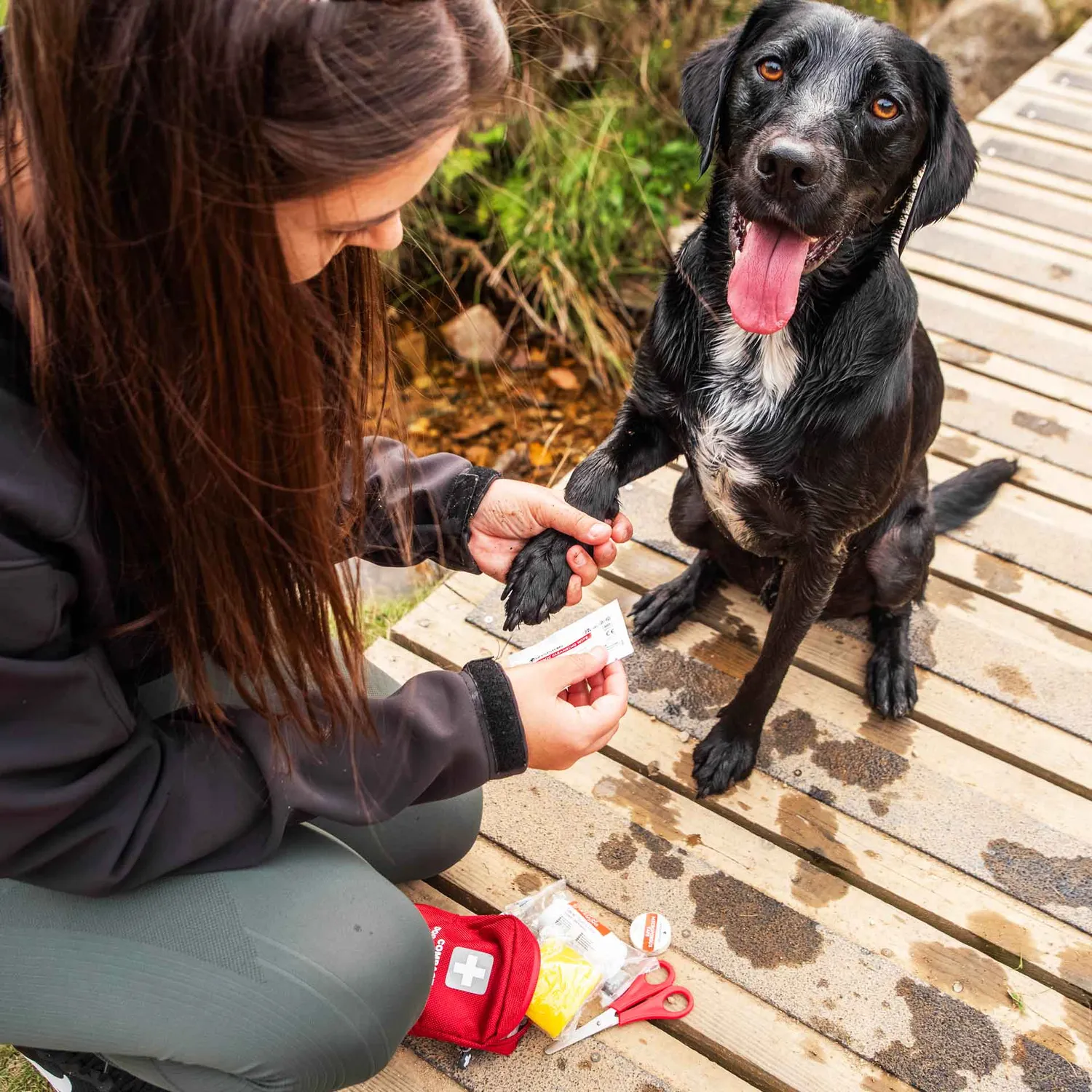 Mountain Paws Compact Kit pronto soccorso 20 pezzi