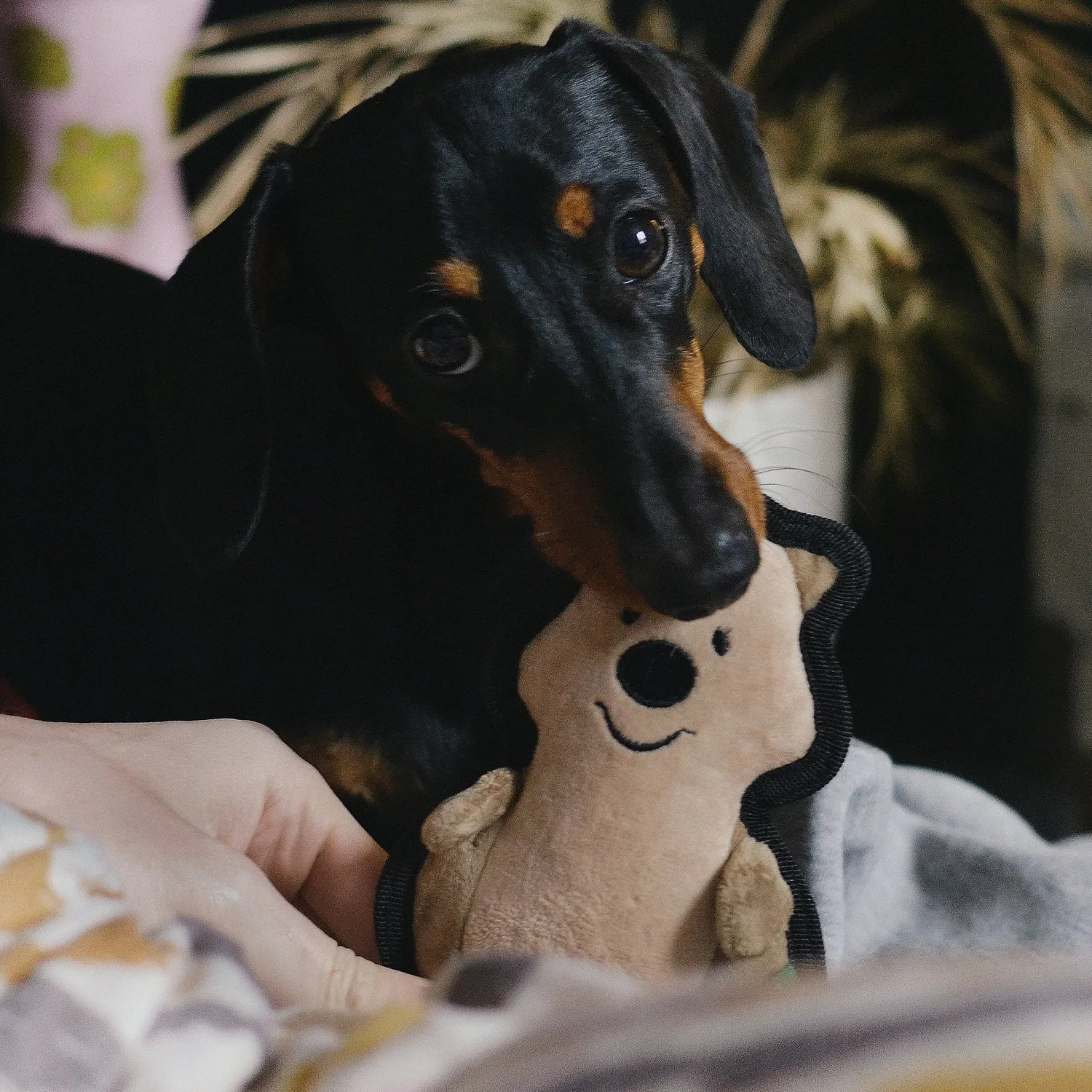 Beco Pets Quokka peluche per cani robusto riciclato