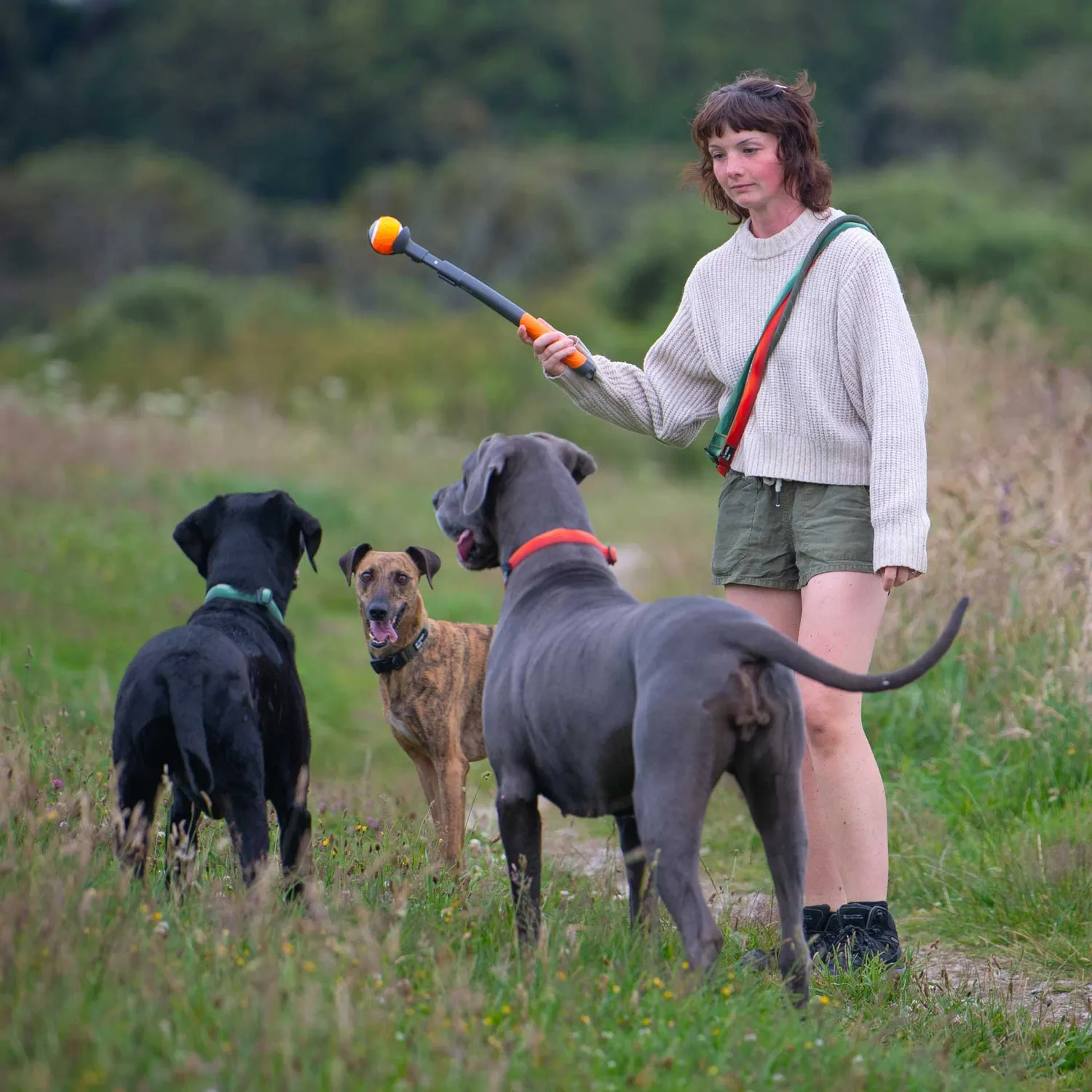 Mountain Paws lanciapalla cane telescopico con pallina