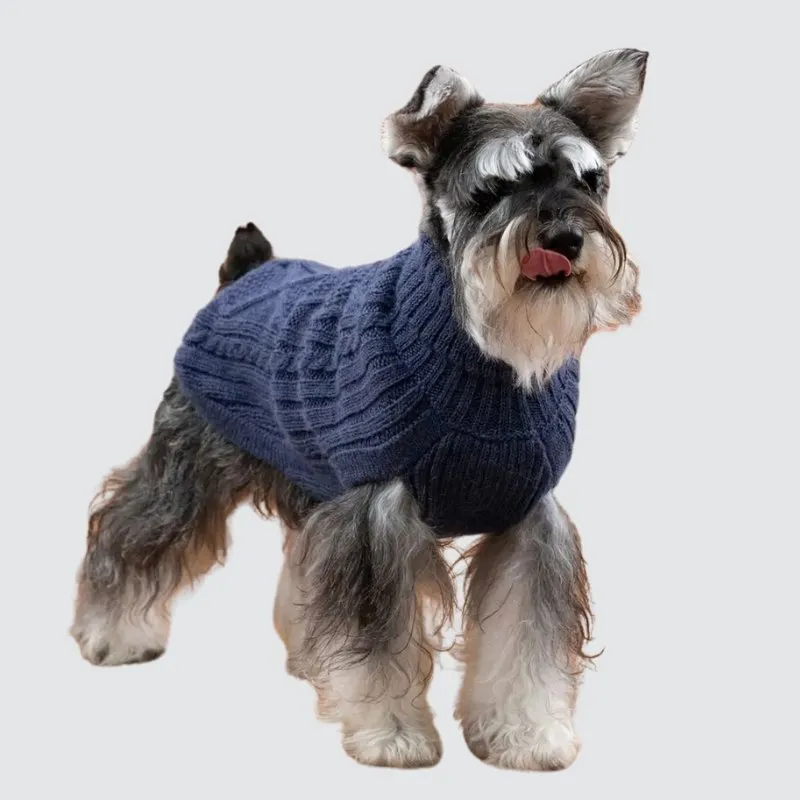 LabArt Dog Alpaca Aran maglioncino lana caldo