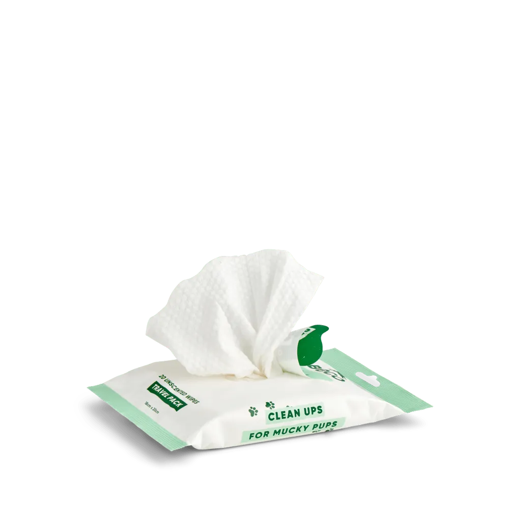Beco Pets Salviette cane cocco neutre 80 pezzi spesse