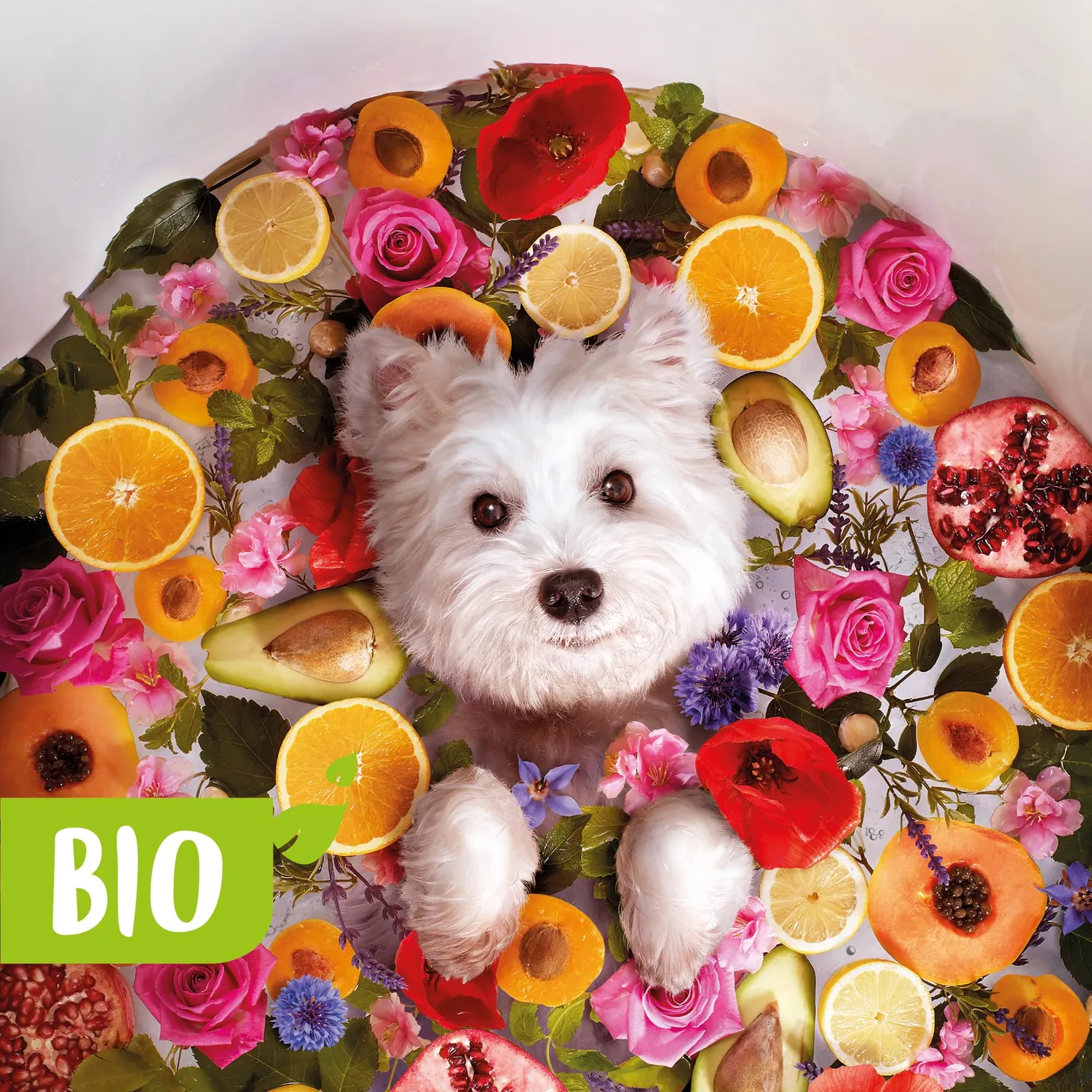 Beaphar Bio Shampoo Sensitive shampoo cane cute sensibile 200 ml