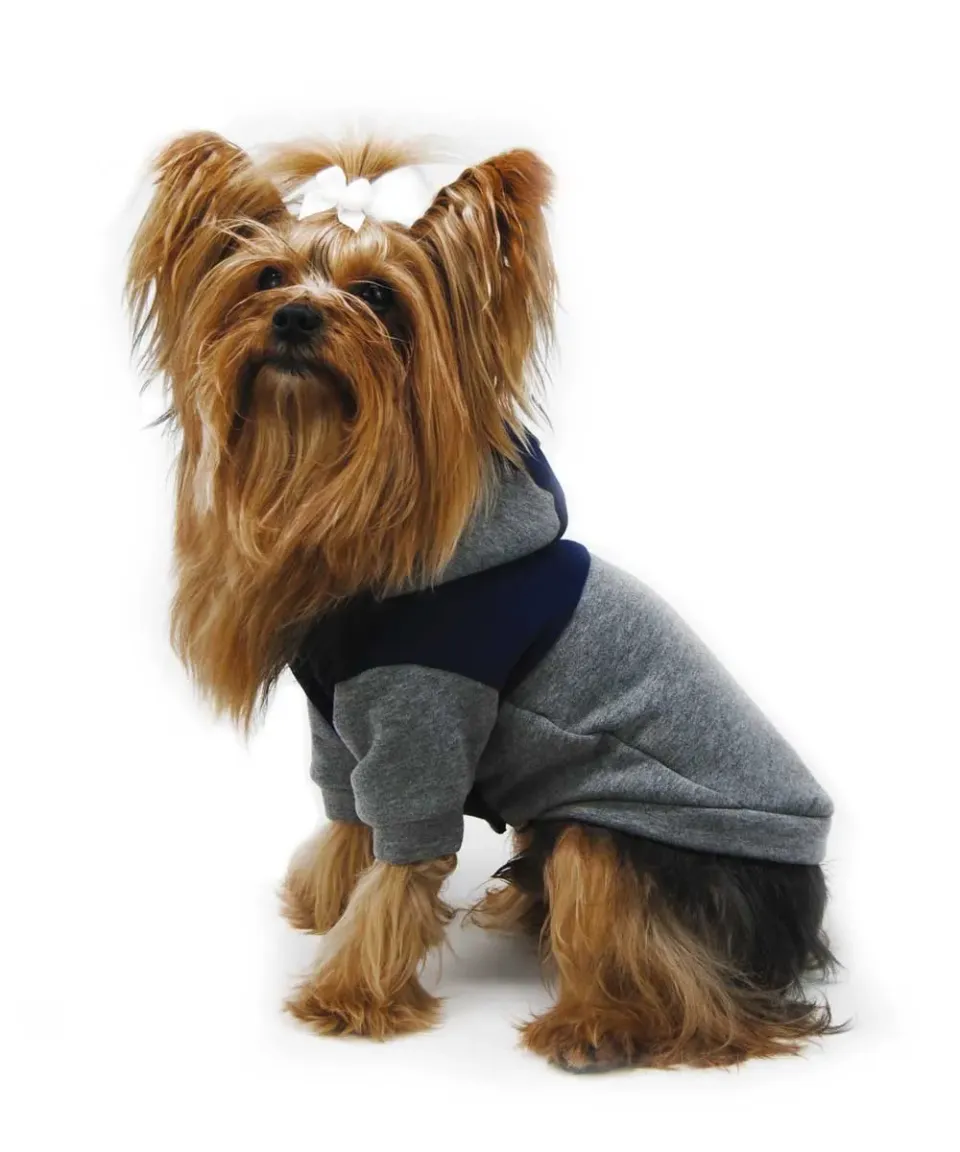Royal Dog Italia felpa cane grigio blu sportiva