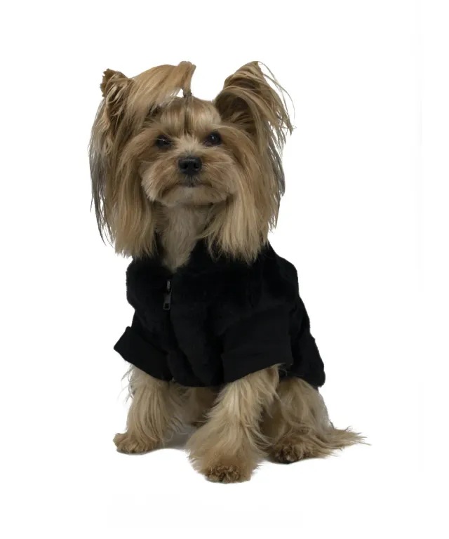 Royal Dog Burian Boy pellicciotto cane invernale zip