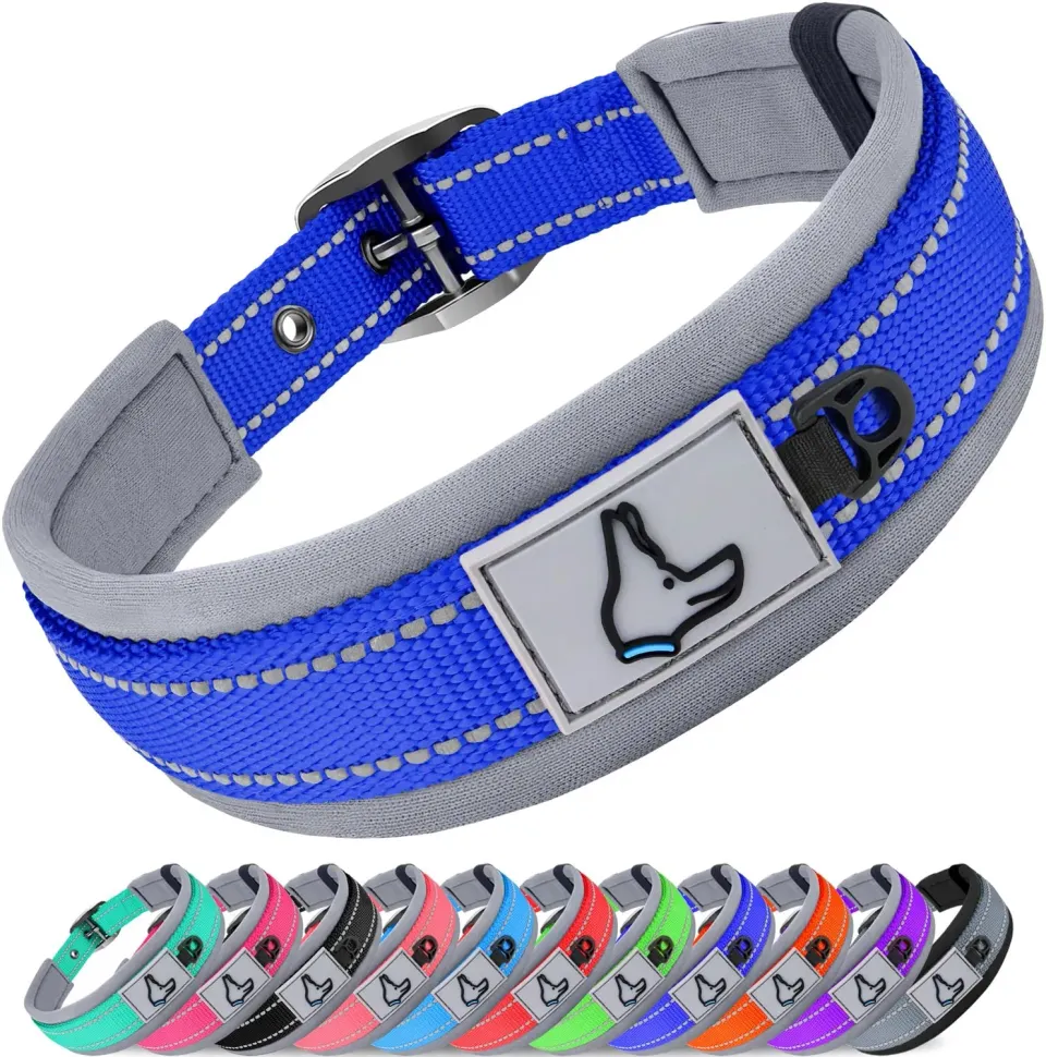 Joytale Collare Cane Imbottito Blu Scuro Taglia S Riflettente