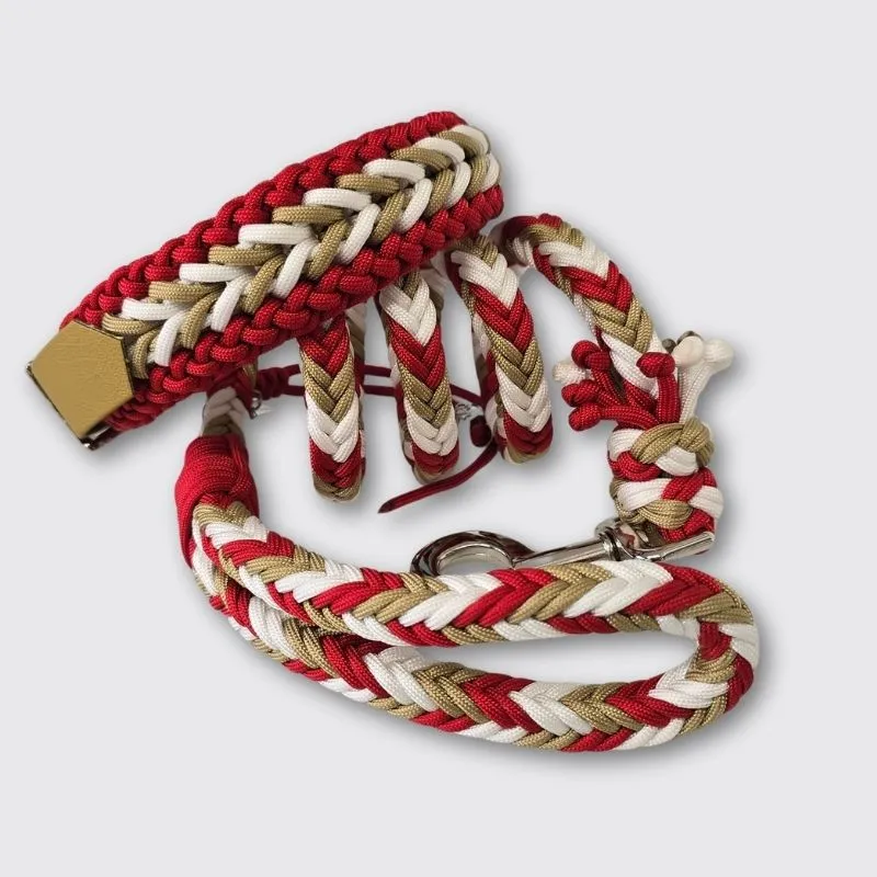 LabArt Dog Winner Christmas collare grande