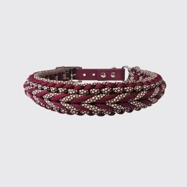 LabArt Dog Little Benjamin collare paracord regolabile