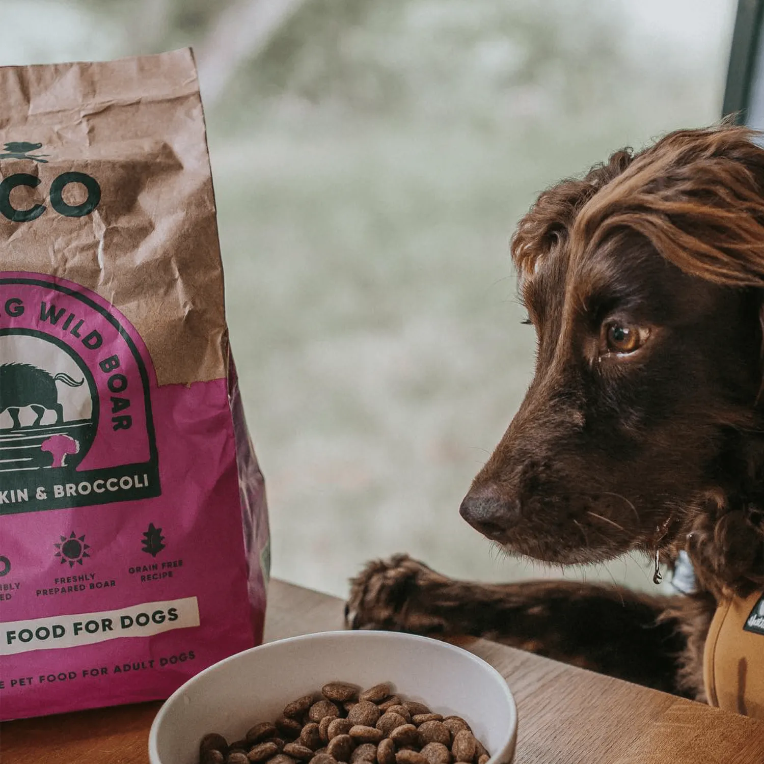 Beco Pets Cinghiale crocchette cane grain free 2 kg zucca