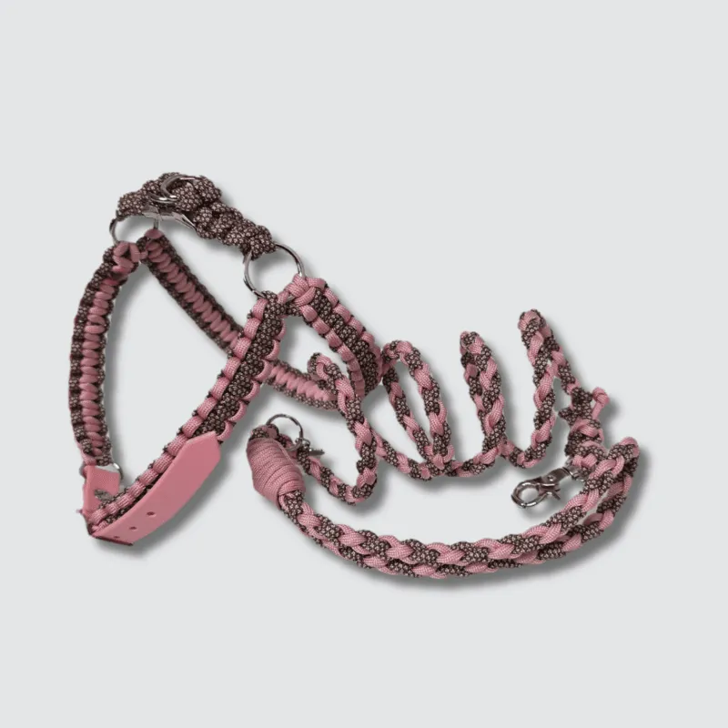 LabArt Dog Y 2.0 Provenza pettorina paracord biothane