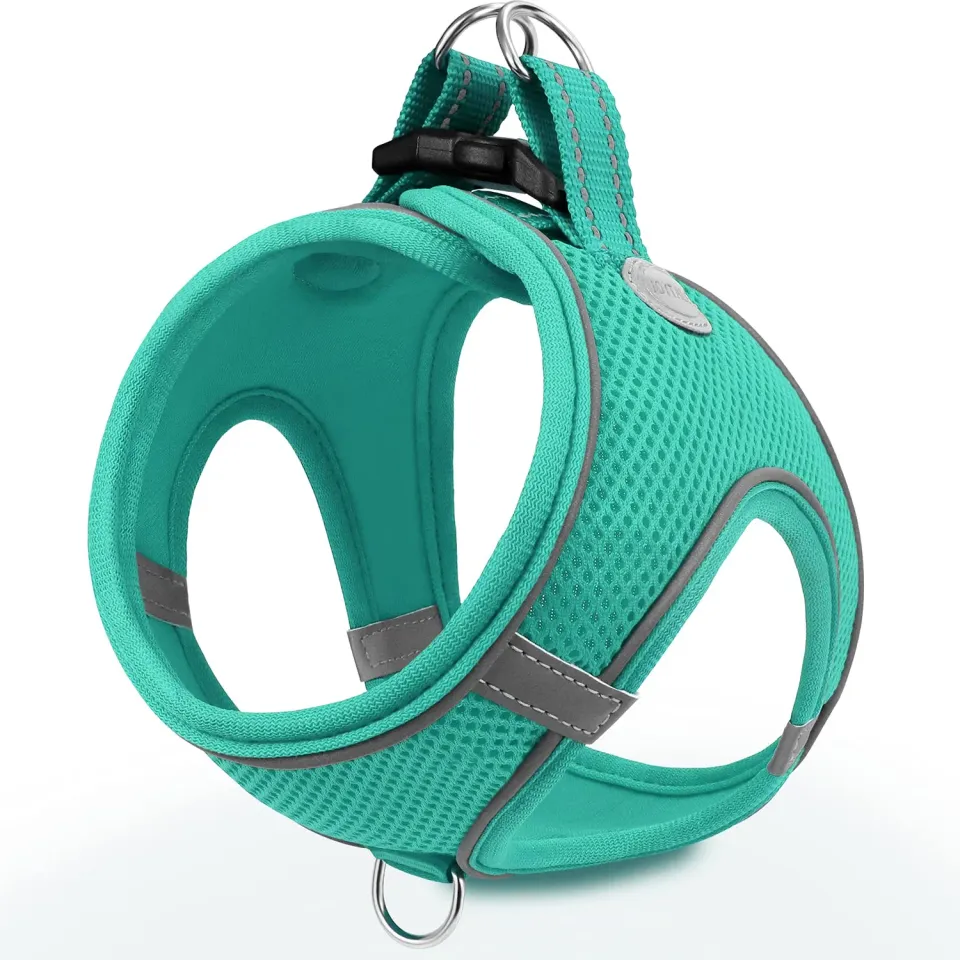 Joytale pettorina cane verde acqua S traspirante anti-soffoco