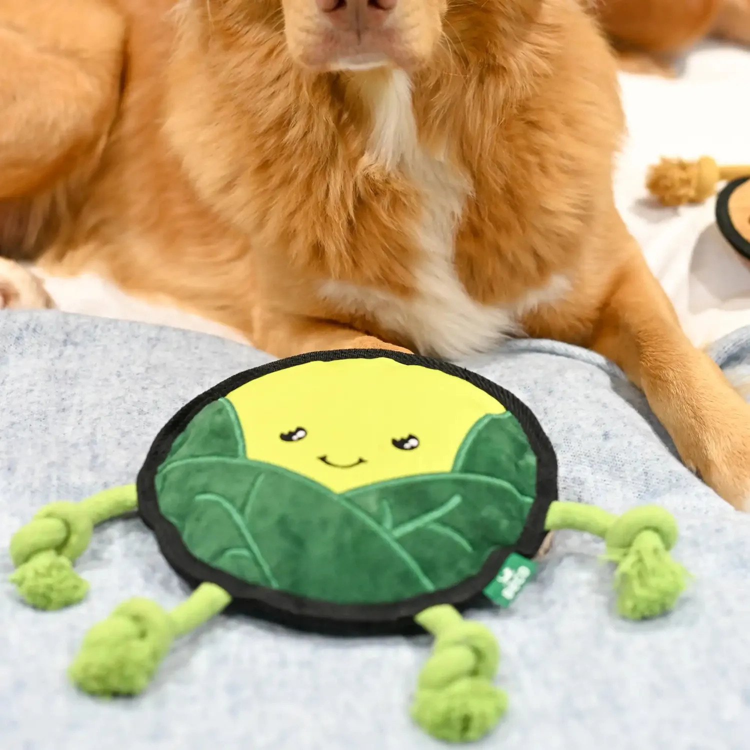Beco Pets Russell Sprout peluche cane con corda