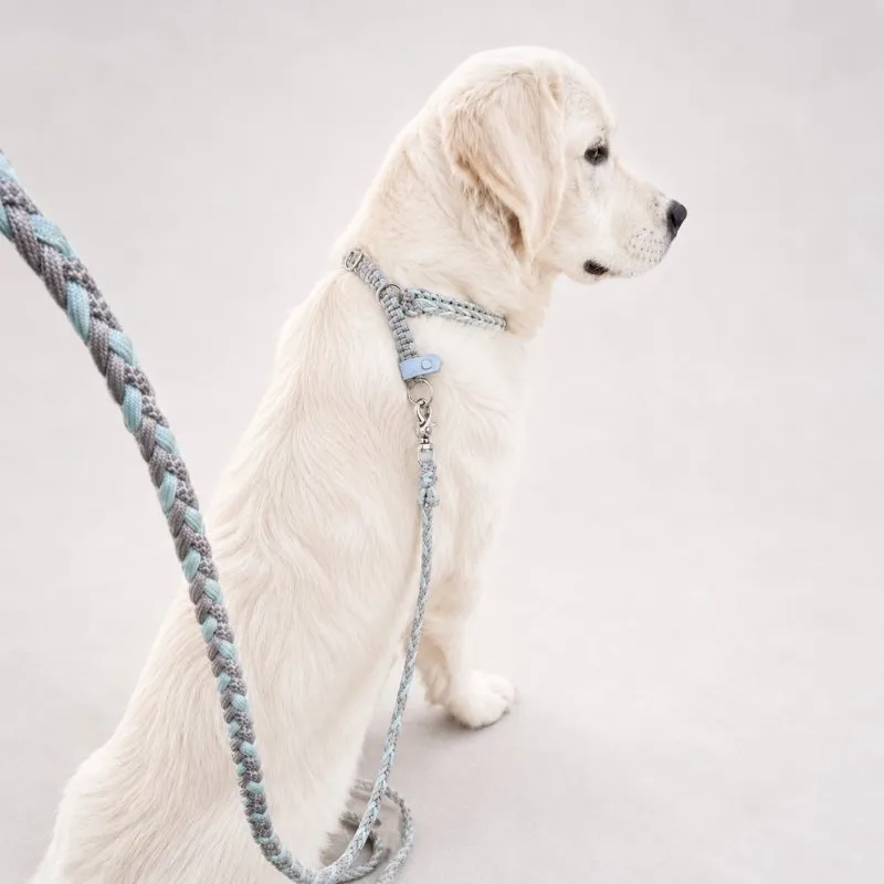 LabArt Dog Retriever collare in paracord martingala