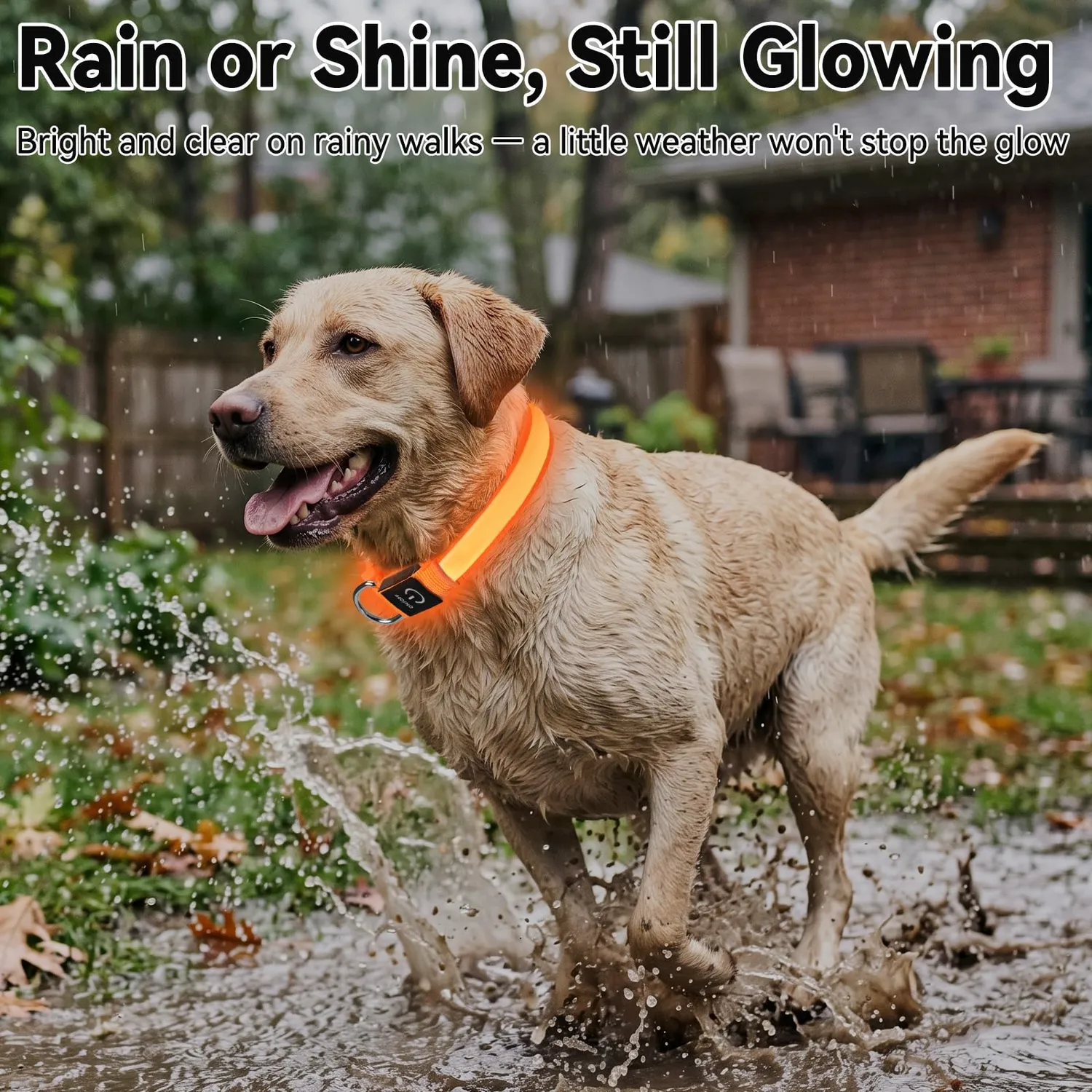 Joytale Collare LED per Cani Arancione M 38-50 cm Ricaricabile