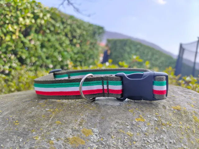 Anja for Dogs Italia collare cane verde militare