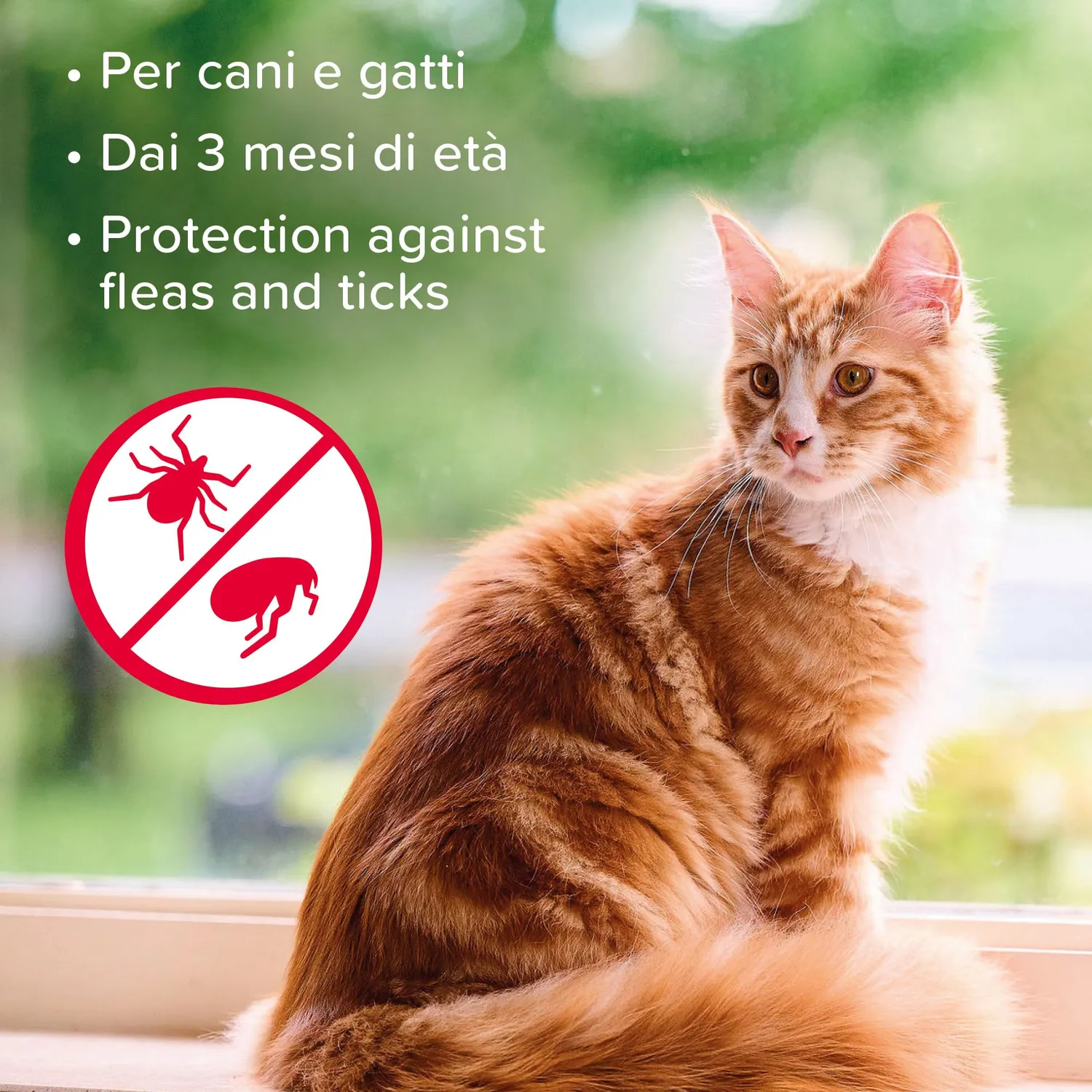 Beaphar A.P.E. Shampoo Cane Gatto 200 ml Tetrametrina
