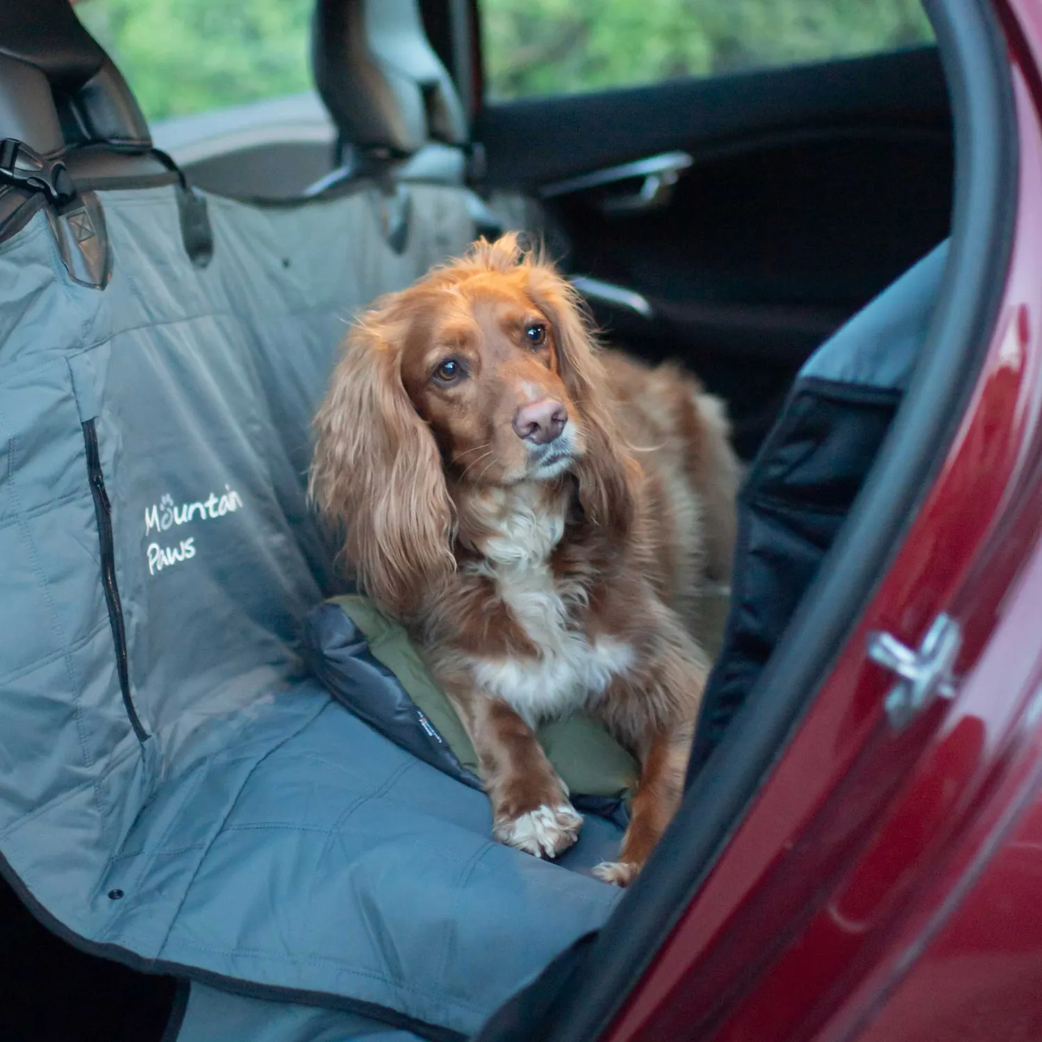 Mountain Paws Travel cuccia cane da viaggio leggera