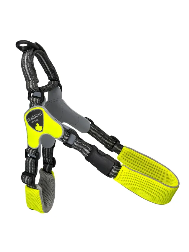 Coralpina Fiames Pettorina Regolabile 9 Giallo Fluo Grande