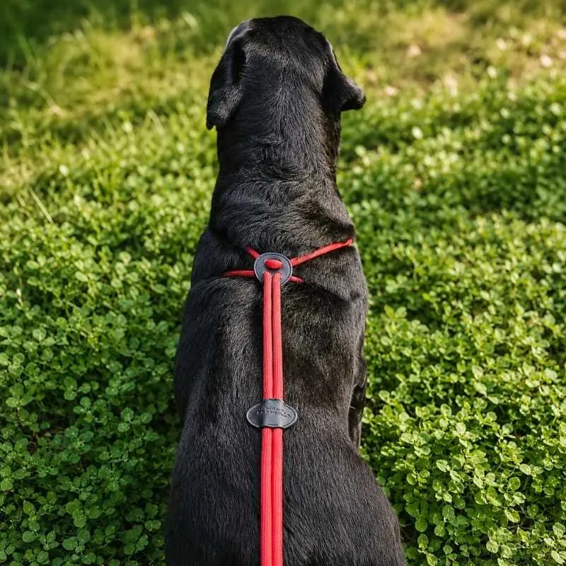 LabArt Dog EasyStride guinzaglio corda rosso 10 mm