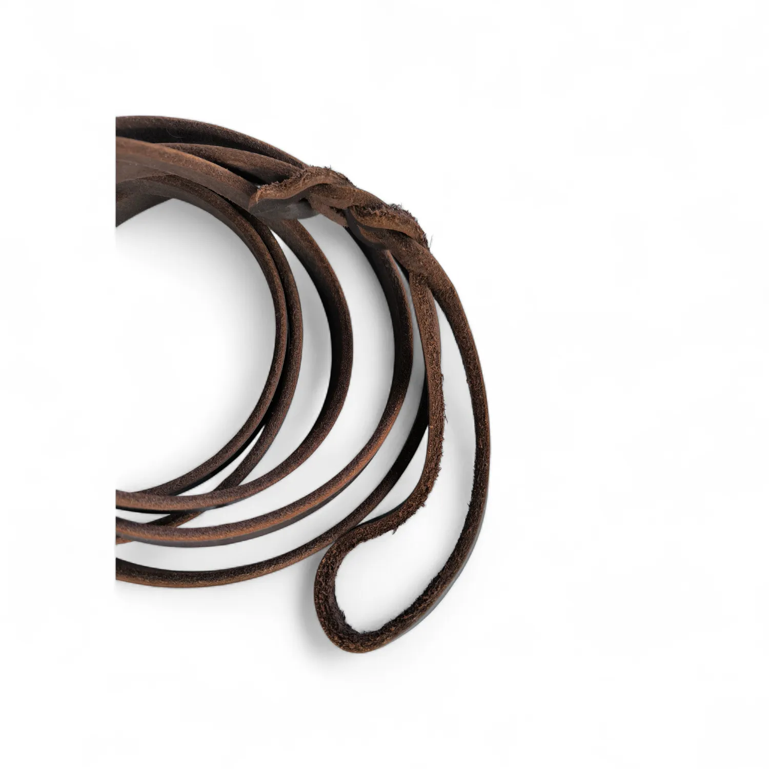 Anja for Dogs Cuoio guinzaglio 2,7 m ottone